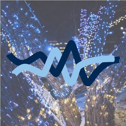 End-of-the-year Update 2025